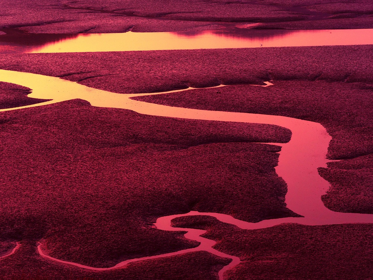 Image of a wetland with the water reflecting a golden sun